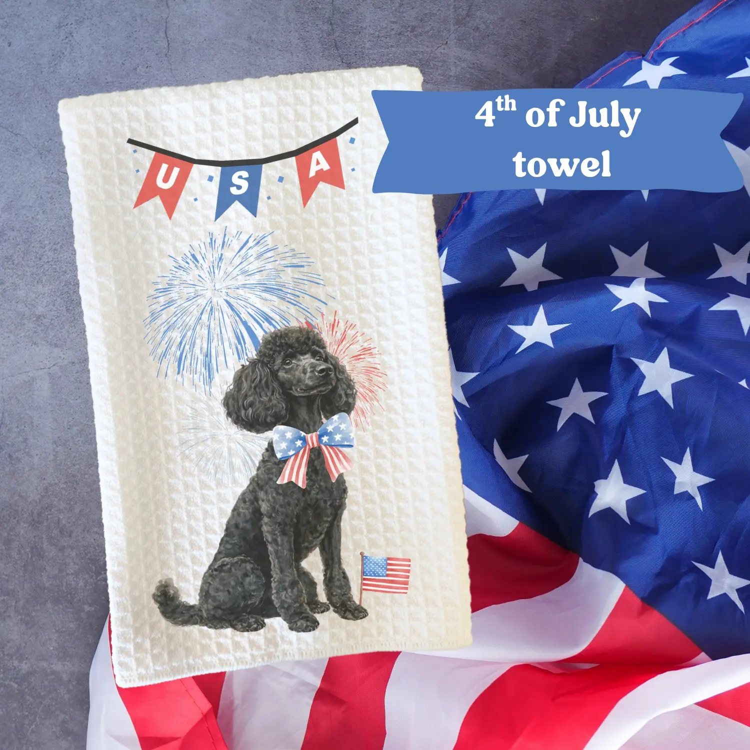 Poodle (standard) #1