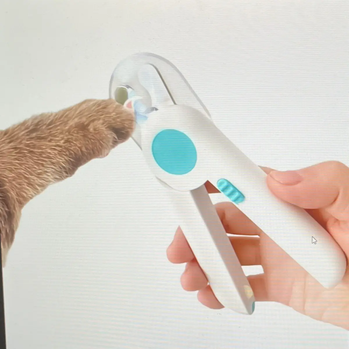 LED pet nail clipper trimmer