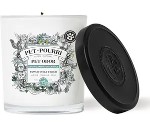 Pet Odor Eliminator Candle, Pawsitively Fresh