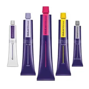 Salerm Vision Coloring Cream 2.3oz Blonde Balayage Blonde Highlights