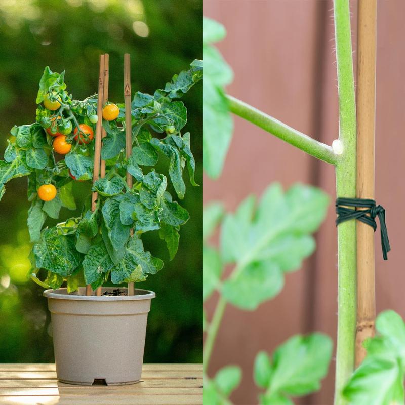 50 count Stakes, Stakes,Garden Stakes for Indoor and Outdoor , Poles Sticks for Tomatoes,Beans,,Trees Potted and Climbing -18 inches 50 count Stakes, Stakes,Garden Stakes for Indoor and Outdoor , Poles Sticks for Tomatoes,Beans,,Trees Potted and Climbing -18 inches