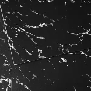 VEVOR Self Adhesive Vinyl Floor Tiles 12 x 12 inch, 50 Tiles 1.5mm Thick Peel & Stick, Black Marble Texture DIY Flooring for Kitchen, Dining Room, Bedrooms & Bathrooms, Easy for Home Decor