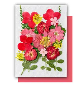 Flowers Home Decoration Dried Flowers DIY Resin Craft Pressed Natural Flower