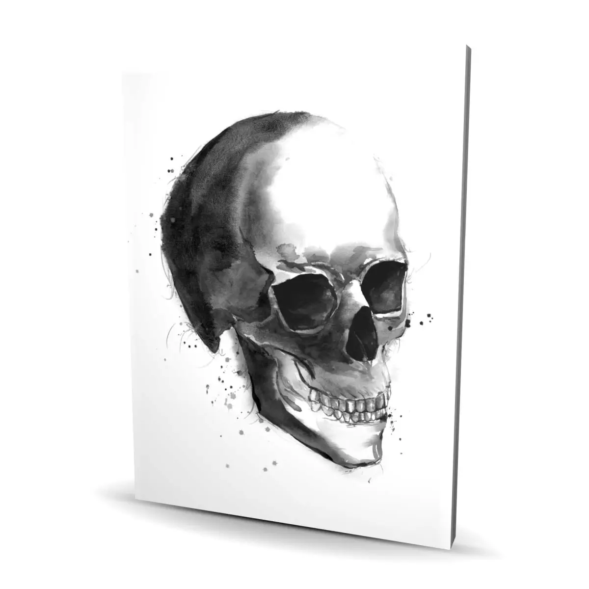 Begin Home Decor C1RC3648J2AK3V 36 x 48 in. Black & White Skull Canvas - Office Decor for Home