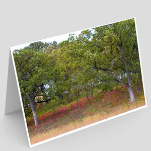 Neal Smith NWR Greeting Card IMG_8755