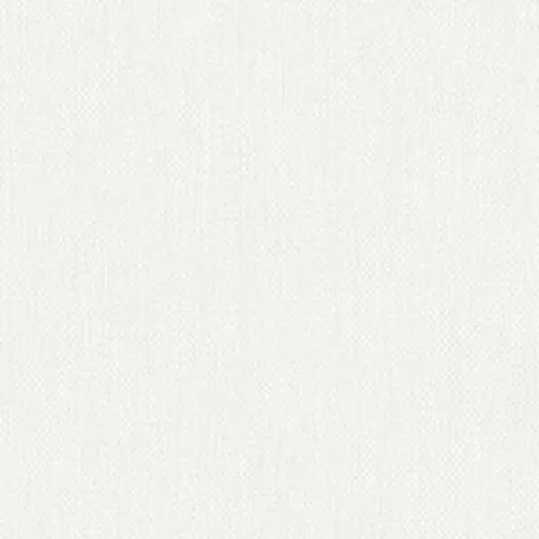 Groundwork 61 100 Percent Polyester Fabric, Snow