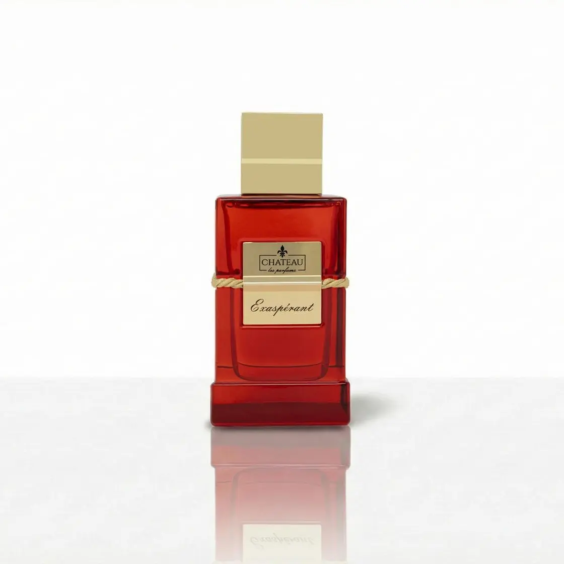 Chateau Les Parfums Exasperant 3.4oz / 100ml | Extrait de Parfum 25-30% Oil | Long Lasting Luxury Fragrance