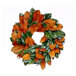 Magnolia Classic Wreath