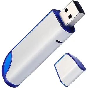 32GB FAT32 Format USB 2.0 Flash Drives, USB Memory Stick for  Capture Card/Cassette Player//Laptop/External Data Storage with Indicative Light