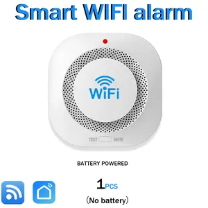 Graffiti Wi-Fi Smart Home Alarm with Voice Speaker Hazard Warning System & Particulate Matter Monitoring for Comprehensive Home Security