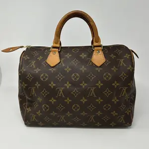 Pre-owned Louis Vuitton Canvas Top handle bag Monogram Speedy