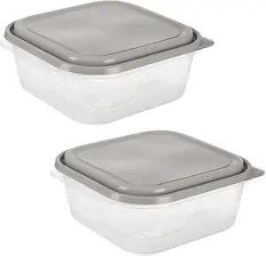 Extra Large Square Food Storage Container, 2 Pack, BPA Free