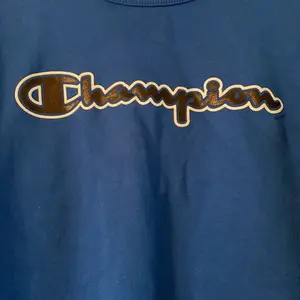 Champion Pullover Sweatshirt Crewneck