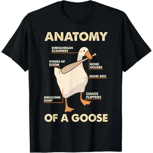 Anatomy Of A Goose Funny Meme Animal Lover Goose Honk Bonk T-Shirt