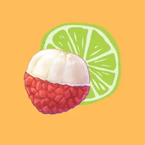 Lychee Lime shop logo
