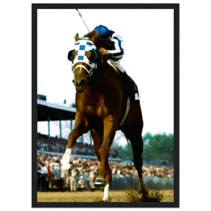 CRASHPAD - Secretariat Poster Print - Premium Matte Paper Artistic Wall Decor - Available Framed or Unframed - A3/A2/A1/A0 Sizes - FSC Certified Sustainable Paper - Smooth Non Reflective Finish