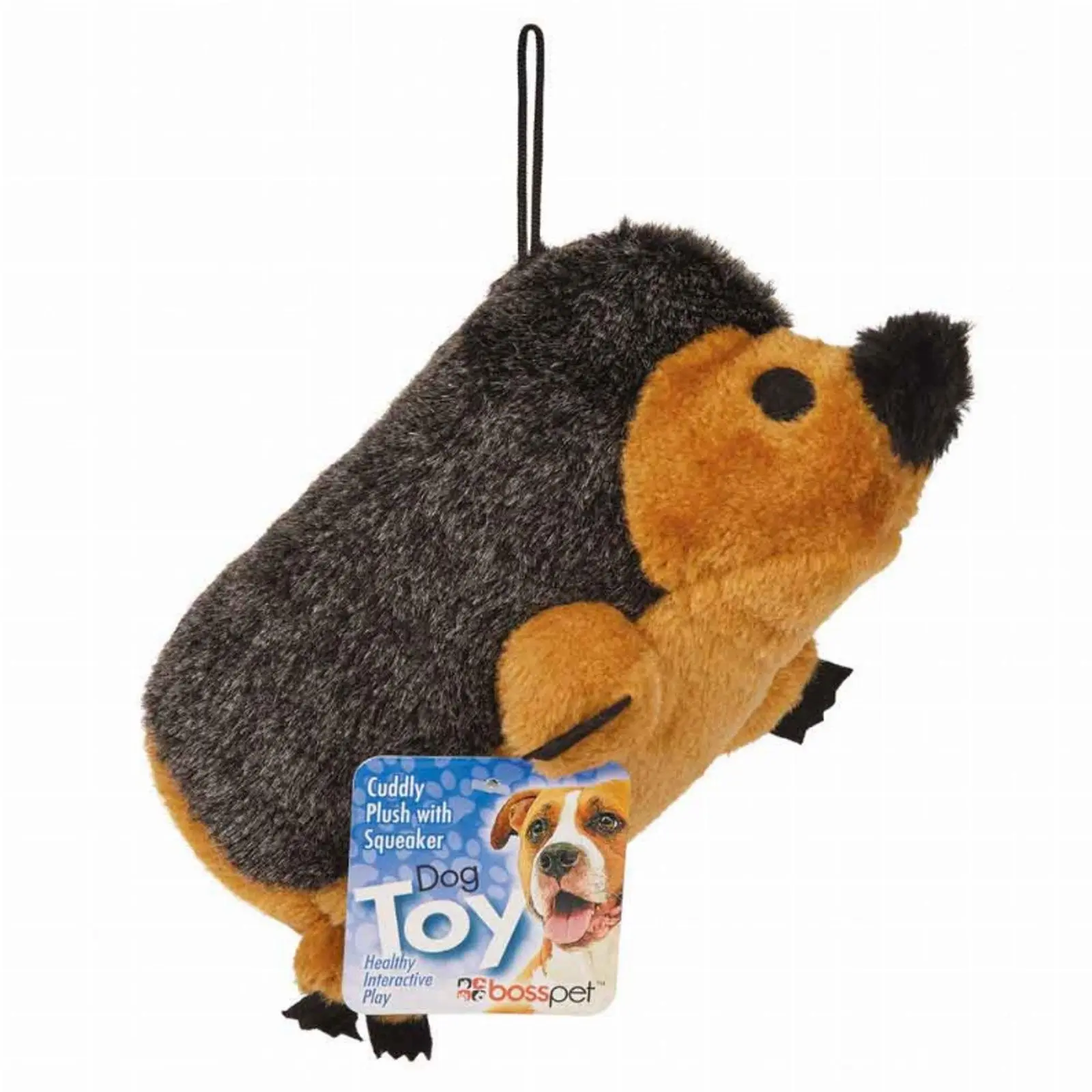 Charming Hedgehog Plush Toy