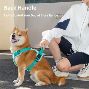 Lightweight Reflective Dog Harness with Leash – Spring New Arrival for All-size Breeds