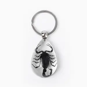 Real Black Scorpion Keychain in Clear Resin Teardrop Real Nature Gifts