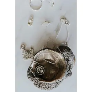 Bronze Shell Jewelry Dishes