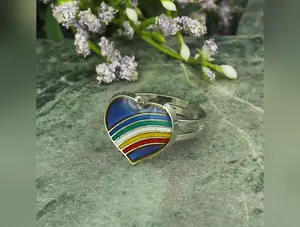 Everyone Loves a Rainbow Heart Mood Ring