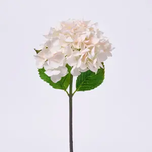 Real Touch Cream Garden Hydrangea Bloom Single Stem Faux Floral Spray - 18"
