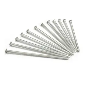 6-inch Nail Head Garden Stakes Heavy Duty Rebar Spikes for Concrete Landscape Timber Plant Fixing