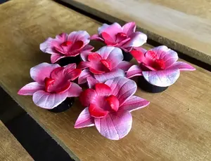 PAIR of Unique Pink Magnolia Leather Flower Horn Plugs