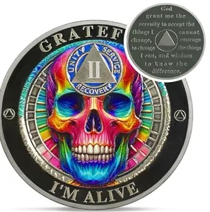 1-9 Year Sobriety Chip, Skull AA Coin and Medallions Grateful I Am Alive Recovery Token with Serenity Prayer Sobriety Gifts for Men Women
