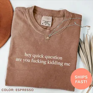 Hey Quick Question Are You Kidding Me Shirt, Funny Humor Sweatshirt, Funny Girls Shirt, Sarcasm T-Shirt, Trendy Shirt for Women, Funny Saying Sweatshirt