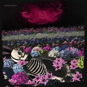 Redefined - Dead Rabbitts - CD