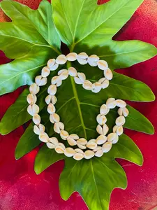 da Hawaiian Store Genuine Ring Top Cowrie Cowry Shell Lei