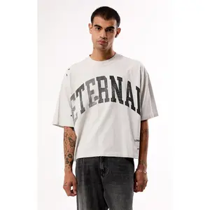 Pacsun Men's Eternal Ripped Cropped T-Shirt