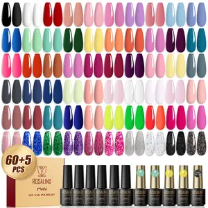 ROSALIND 65PCS Mini Gel Nail Polish Set Semi Permanent Need UV Light to Cure with Glossy & Matte Top Base Coat Gel Varnishes Professionals for All Season Nail Art Salon