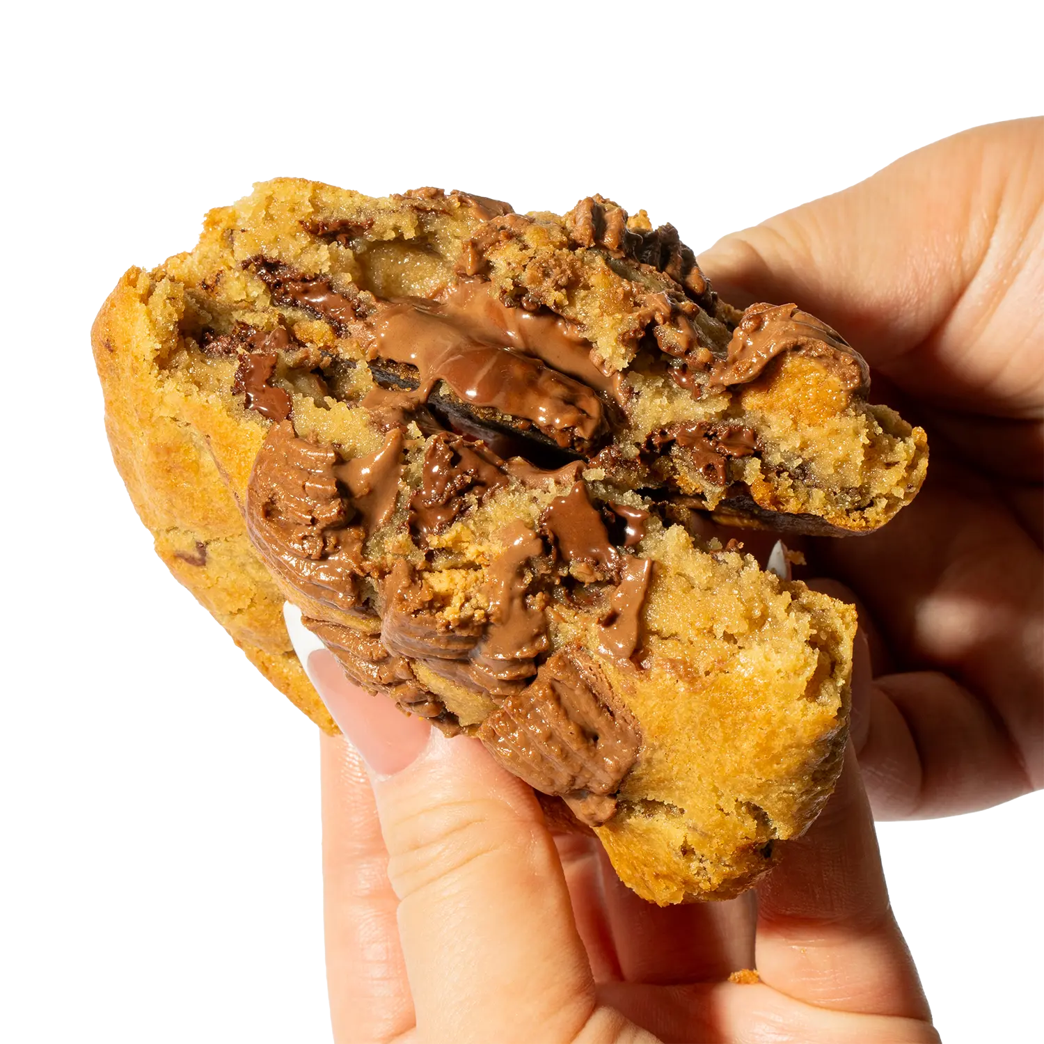 Reese's Chocolate-Flavored Cookie, Delicious Snack Biscuit for Casual Enjoyment