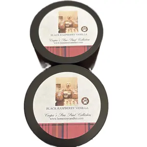 6oz Black Raspberry Vanilla set of two Candles
