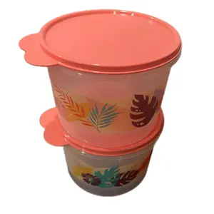 Elegant Floral Leaves Design Refri Canisters Set of 2 Clear with Coral Color Lids Kitchenware for Storage Maintains Freshness