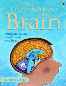 USED-Understanding Your Brain (Science for Beginners) by Rebecca Treays (Paperback)