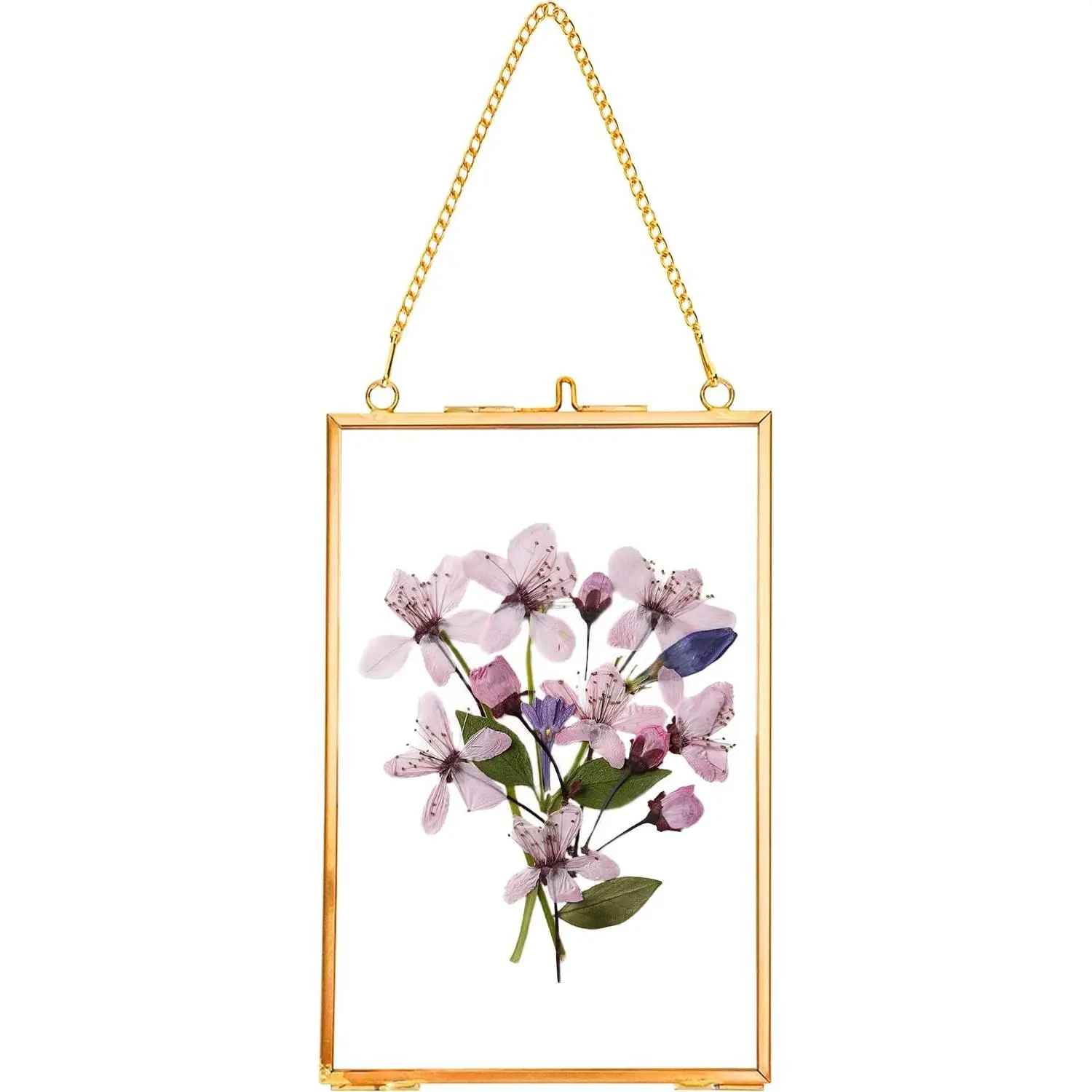 Hanging Pressed Flower Frames, Double Glass, Gold, 4x6 Inches Floating Handmade Picture Frame, Glass Frame for Pressed Flowers, Vintage Brass Frame for Artwork Wall Display Mount