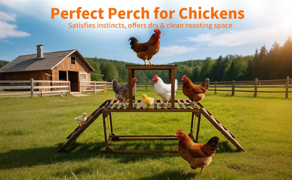 Bingopaw Wooden Chicken Jungle Gym with Ladder and Swing, 2-Tier Roosting Bar Stand for 8-10 Hens, Natural Pine Poultry Playground with Wide Slatted Platform