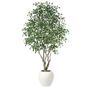 VeriNatural 8FT UV-Resistant Artificial Ficus Tree with Custom White Pot – Indoor & Outdoor Decor