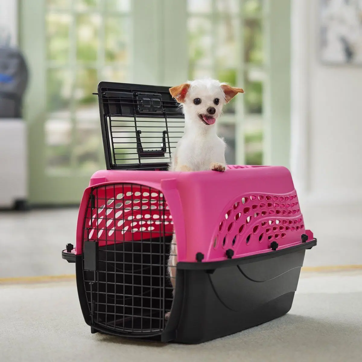 Two Door Top Load Plastic Dog & Cat Kennel, Pink, 24-in, foldable