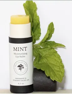 Mint Moisturizing Lip Balm - Handmade in Pleasant Valley, NY - 0.3 oz - Natural Ingredients for Soft Lips