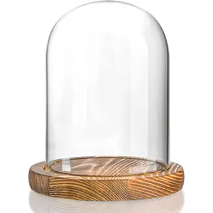5.5" x 3.9" Glass Display Dome Cloche with Wooden Base for Home Decoration