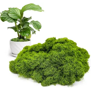 5.3oz Artificial Moss Green for Potted Plants DIY Crafts Glass Containers or Home Decor Faux Moss Decoration Decorative Fruit Ornaments
