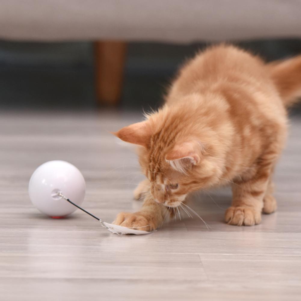 Cat Toy  LED Ball