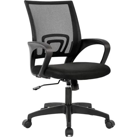 FDW Home Office Chair Ergonomic Desk Chair Mesh Computer Chair with Lumbar Support Armrest Executive Rolling Swivel Adjustable Mid Back Task Chair for Women Adults