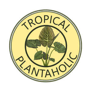 Tropical Plantaholic