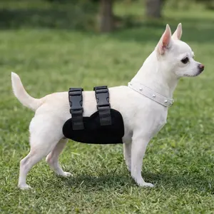 Male Dog Period Underwear, Anti-Interference, Clean and Hygienic, Comfortable Fit, Easy Movement, Lightweight, Durable, Washable, Puppy Diapers