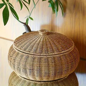 An Antique-Style Woven Plastic Storage Basket with Lid — A Multifunctional Woven Plastic Organizer and Dust-Proof Shelf Basket